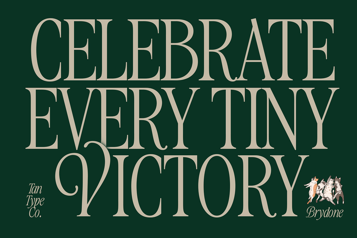TAN-BRYDONE, a Font by TanType (Photo 5 of 16)