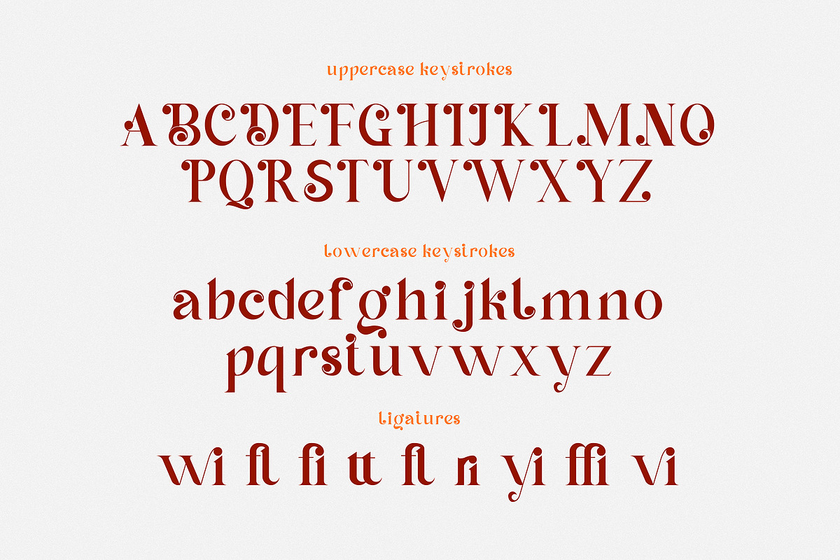 Dinah Glamour / Regular Font, a Serif Font by Anastasia Cuza (Photo 12 of 15)