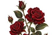 Beaded Roses PNG, an Object Graphic by The Edit (Thumbnail 1 of 3)