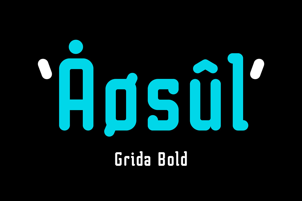 Grida Font Family, a Sans Serif Font by Max Glimm Type (Photo 4 of 7)