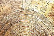 Golden patterns and textures, a Background Graphic by Bubert Art (Thumbnail 9 of 9)