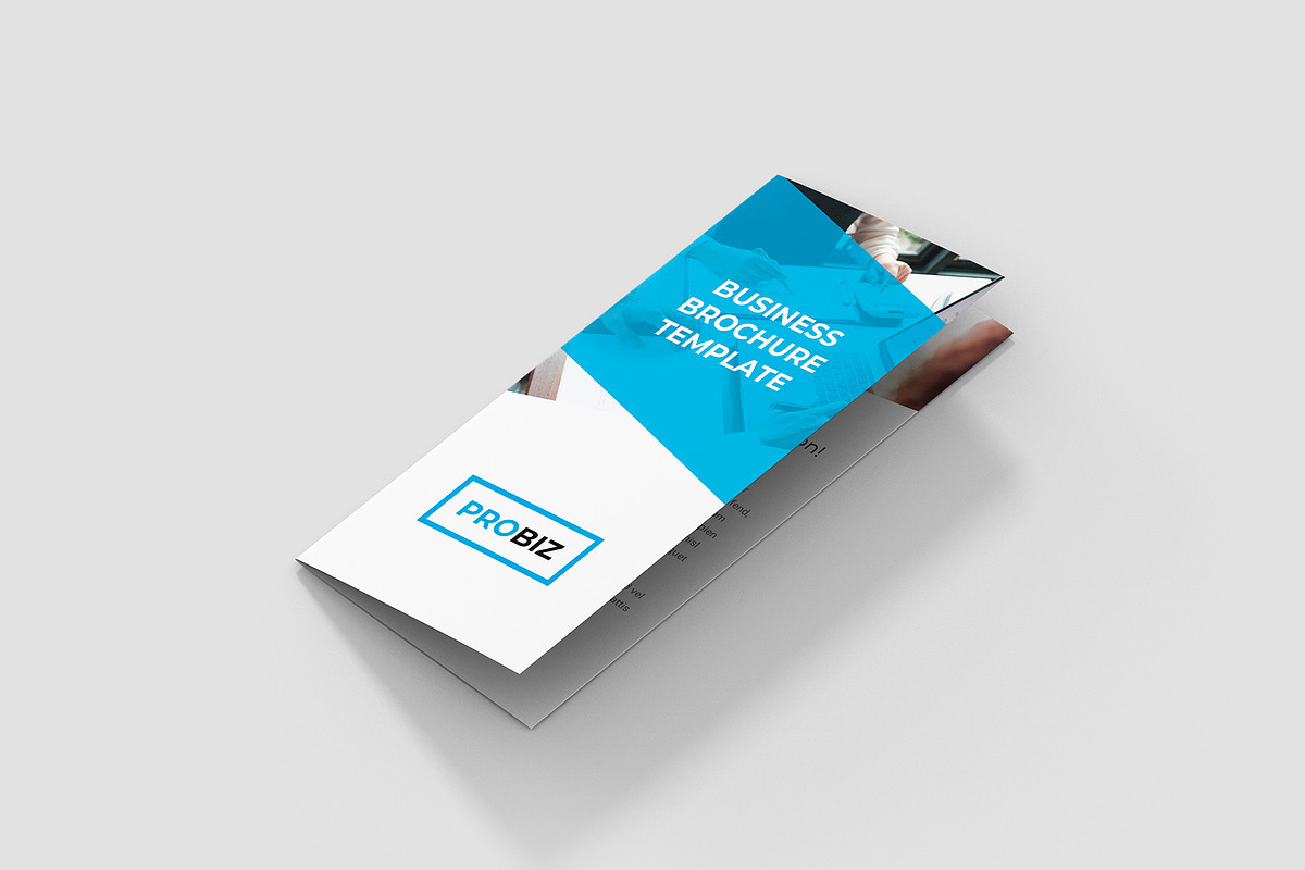 Trifold Business Brochure Template, a Brochure Template by artbart (Photo 5 of 10)