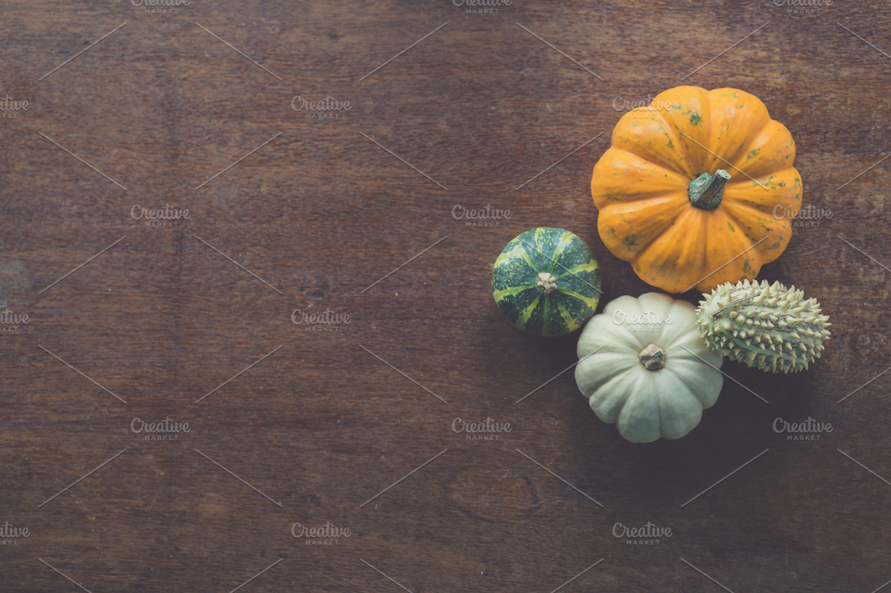 Pumpkin Composition, a Food & Drink Photo by Tan Tranquila