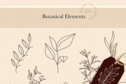 Botanical Elements for Logo Design, a Texture Illustration by amber&ink (Thumbnail 2 of 10)