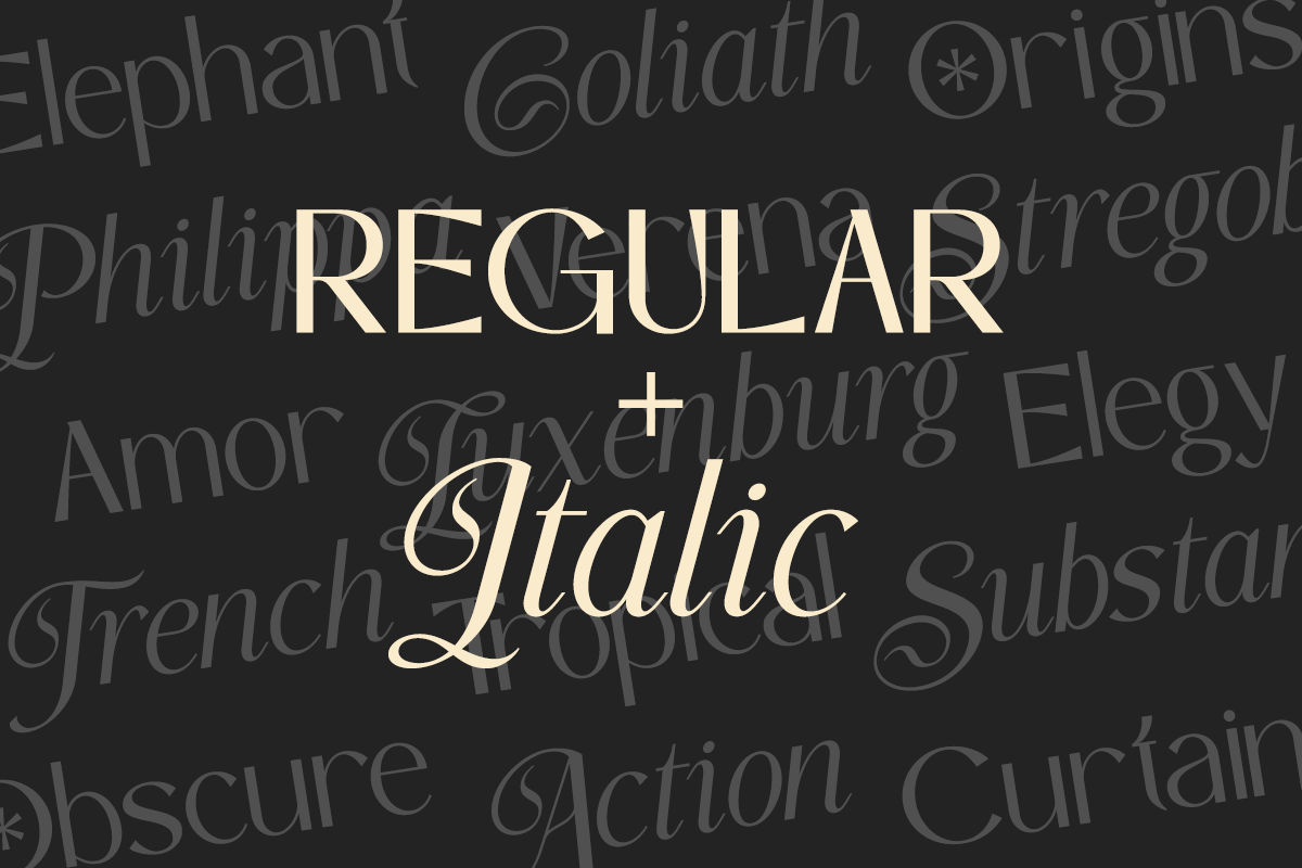 Simple Kindness - Classy Sans Font, a Sans Serif Font by Say Studio (Photo 2 of 13)