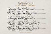 Welroseltone - Unique Script Font, a Script Font by Letterhend Studio (Thumbnail 9 of 10)