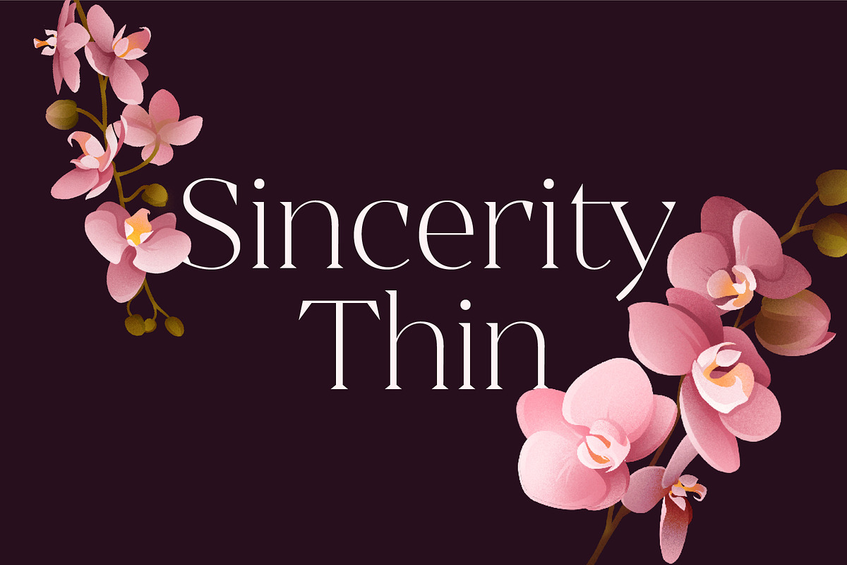 Sincerity Thin, a Serif Font by OceaneM (Photo 1 of 6)