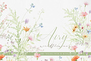 Watercolor AIRY WILDFLOWER Clipart, a Decorative Illustration by Beigetime (Thumbnail 8 of 16)