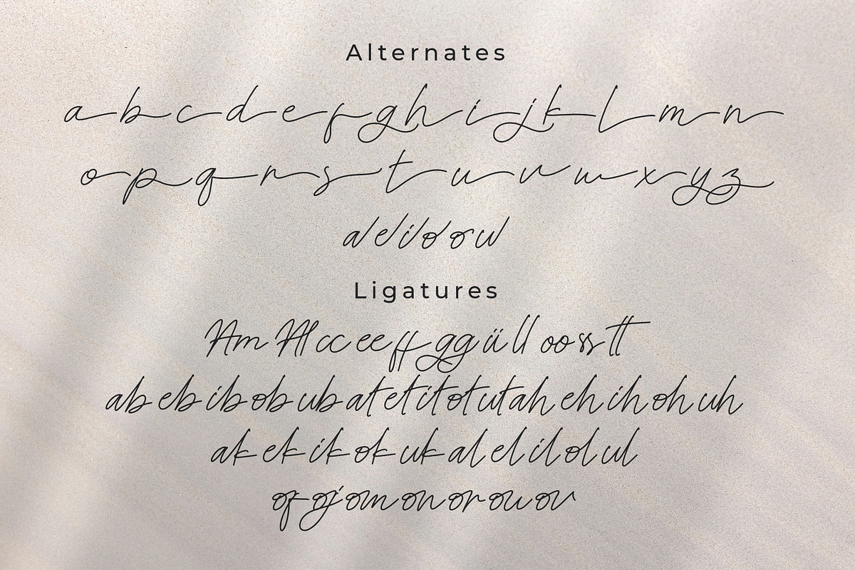 Steelbany, a Script Font by Goresan Studio (Photo 12 of 15)