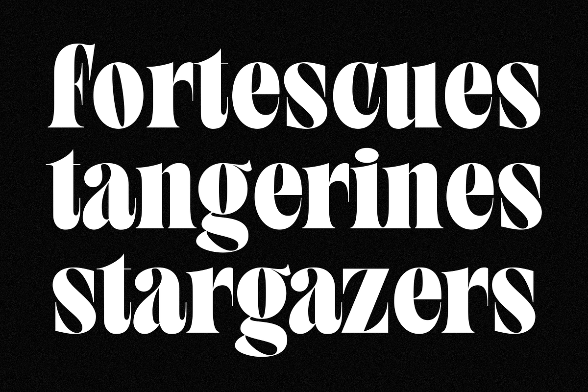 TAN - SUNDAY MORNING, a Serif Font by TanType (Photo 8 of 12)