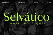 Juana Sans, a Sans Serif Font by Latinotype (Thumbnail 3 of 12)