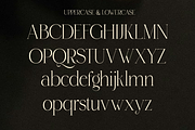 Roowgen - Elegant Swash Display, a Serif Font by Qweera Studio (Thumbnail 12 of 12)