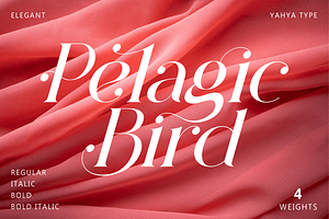 Pelagic Bird - Unique Ligature Font