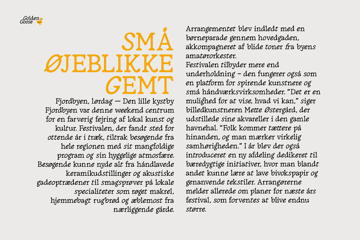 Golden Goose – Italic Infused Serif, a Serif Font by Unio Designs (Photo 5 of 12)