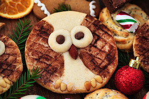 Sweet Christmas cookies Owls