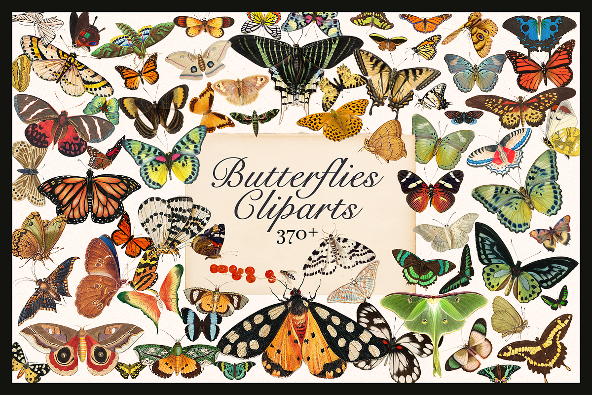 370+ Butterflies Cliparts, an Animal Illustration by Lilithcollageart (Photo 1 of 8)