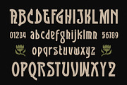 SFC Flosra - Folkcraft Display, a Slab Serif Font by Saera Type (Thumbnail 3 of 12)