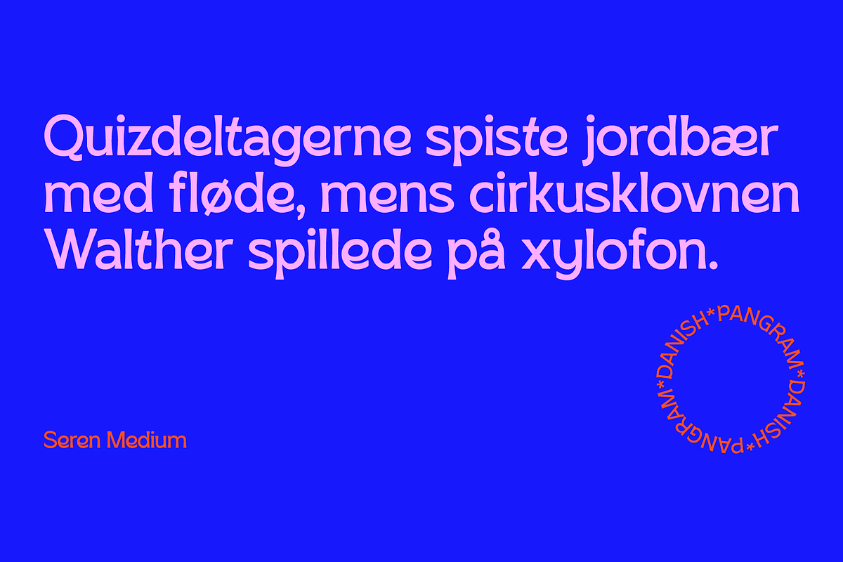 SK Seren, a Sans Serif Font by Salih Kizilkaya (Photo 11 of 15)