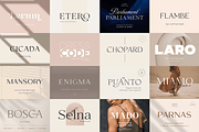 Exclusive Font Bundle, a Sans Serif Font by Larin Type Co. (Thumbnail 6 of 15)