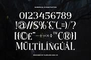 Regsrok - Fantasy Game Serif Font, a Serif Font by Flawless And Co (Thumbnail 8 of 10)