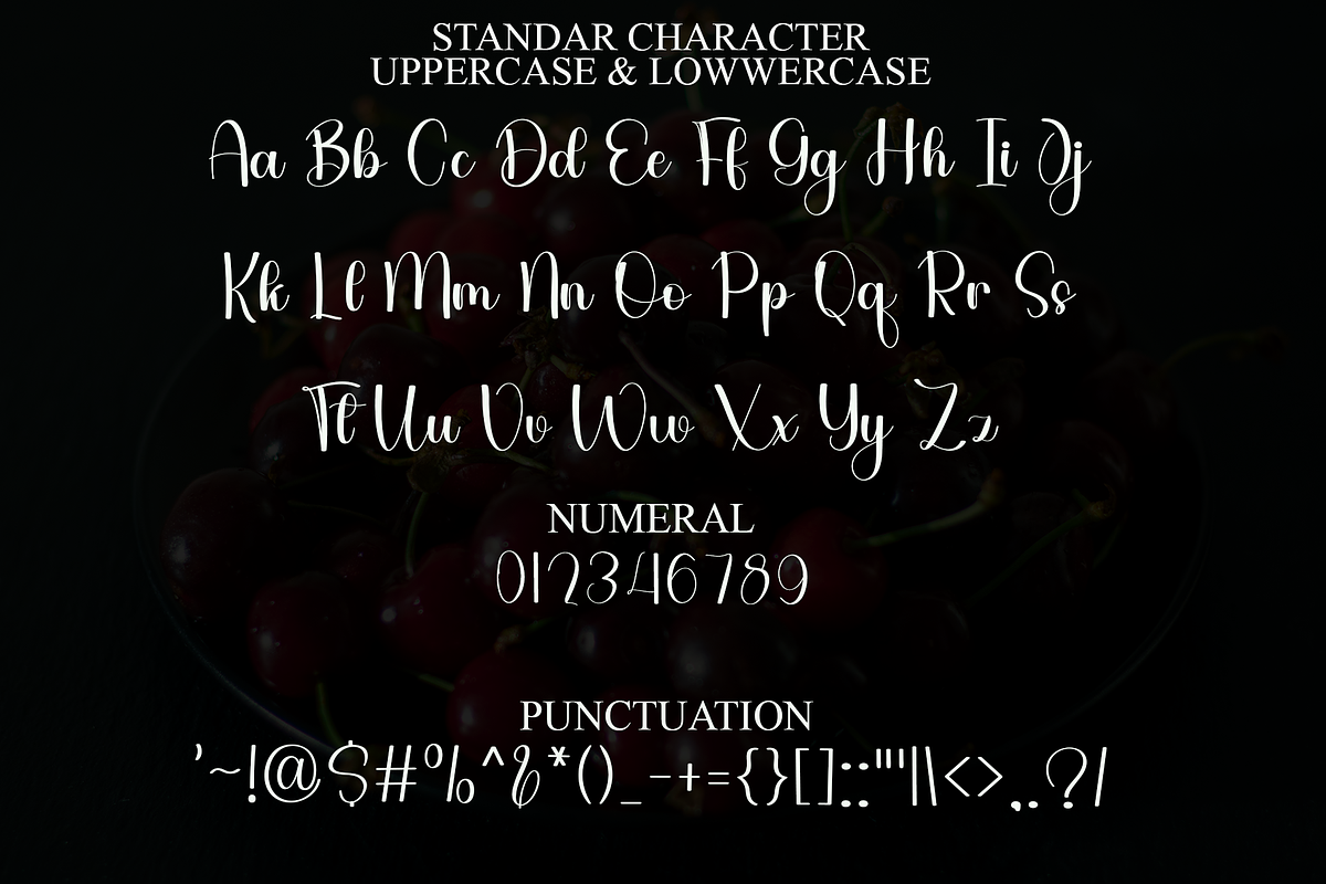 Bridesmaid, a Handwritten Font by InermediaSTUDIO (Photo 7 of 8)