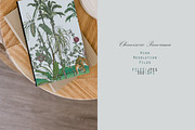 Chinoiserie Seamless Panoramas, an Illustration by Irina Dolgikh (Thumbnail 10 of 17)