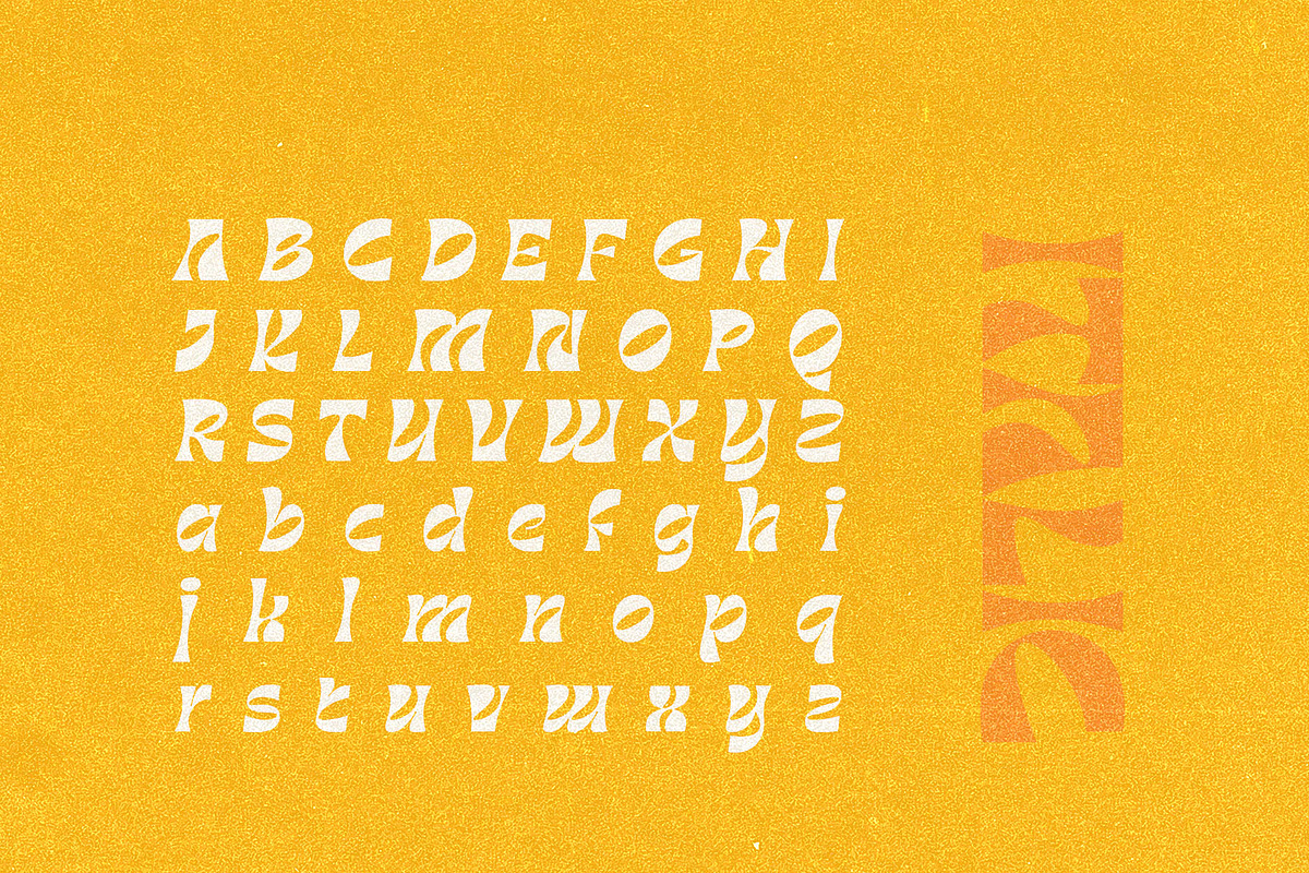 Barbra Display, a Font by nurrontype (Photo 14 of 15)