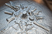 Forest Elements, an Environmental 3D Model by Beatheart Creative Studio (Thumbnail 22 of 25)
