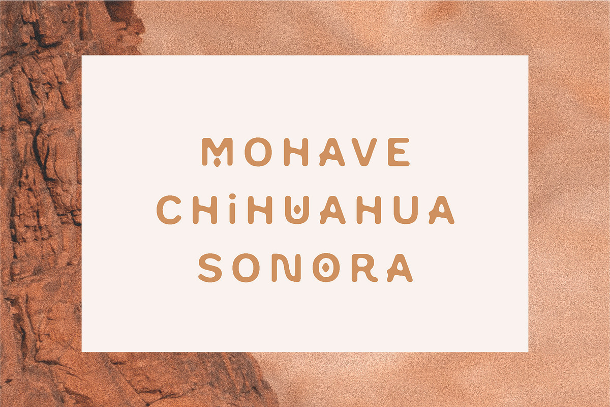Mesa, a Font by Midnight Grim (Photo 6 of 7)