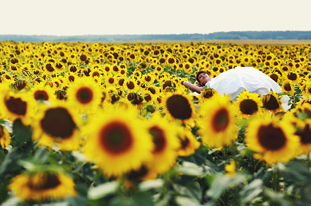 Bride lies on the sunflowers, a Person Photo by IvashStudio