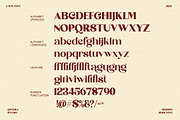 Hogie Angelo – Elegant Classic Serif, a Serif Font by Qweera Studio (Thumbnail 10 of 12)