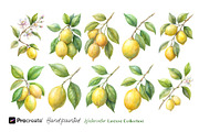 Watercolor Lemons Clipart & Pattern, an Object Graphic by crafty (Thumbnail 2 of 15)