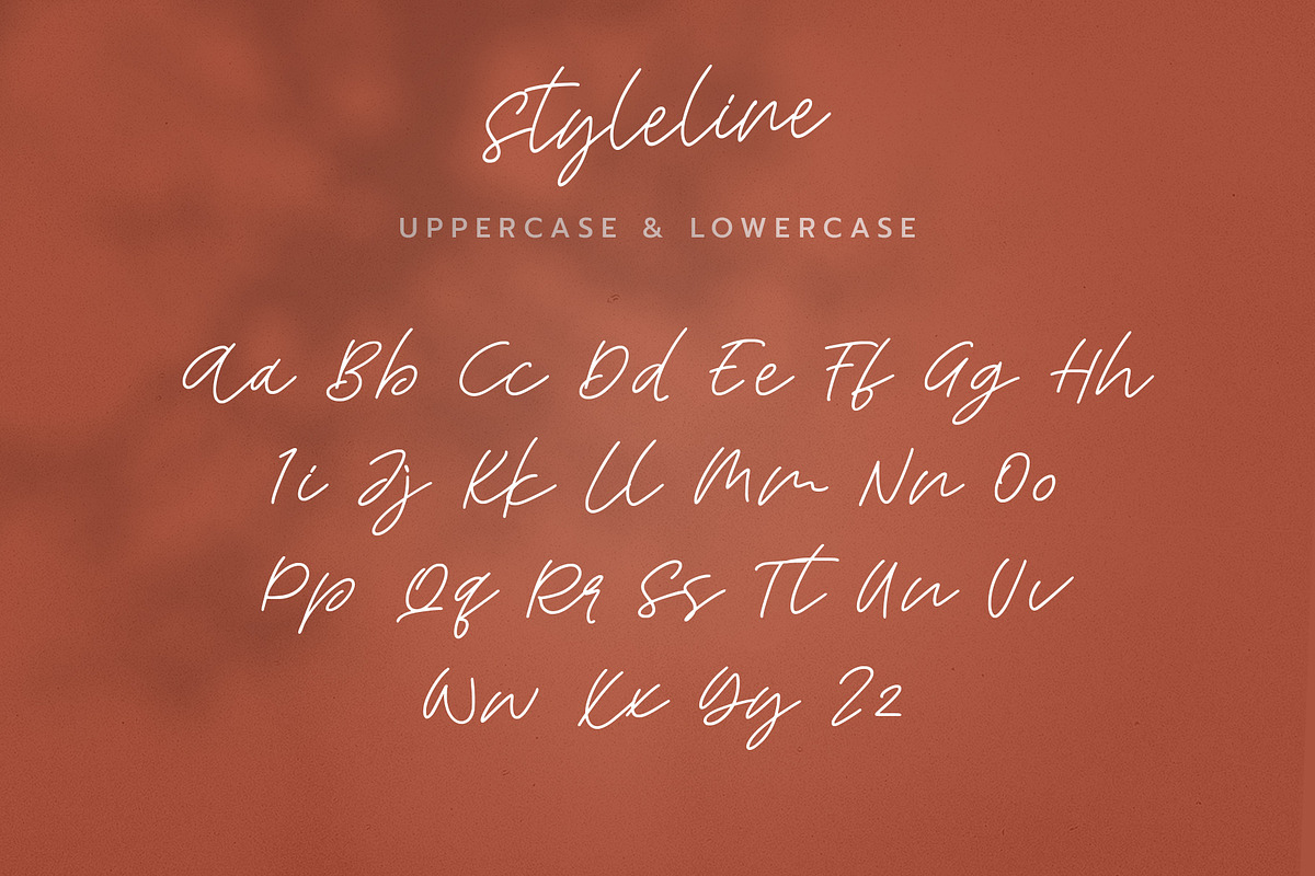 Style Line, a Script Font by Paul Hewitt (Photo 9 of 9)