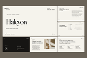 Investor Pitch Deck - Skincare, a Presentation Template by Oday Noon (Thumbnail 1 of 8)