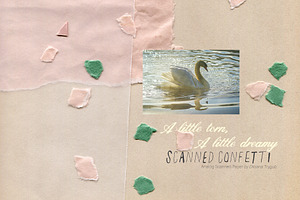 Scanned Confetti Paper Textures Pack