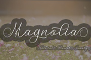 Nathale Script, a Script Font by PollemSt (Thumbnail 2 of 6)