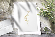 Watercolour Blooming Spring, an Illustration by Eva Katerina (Thumbnail 2 of 17)
