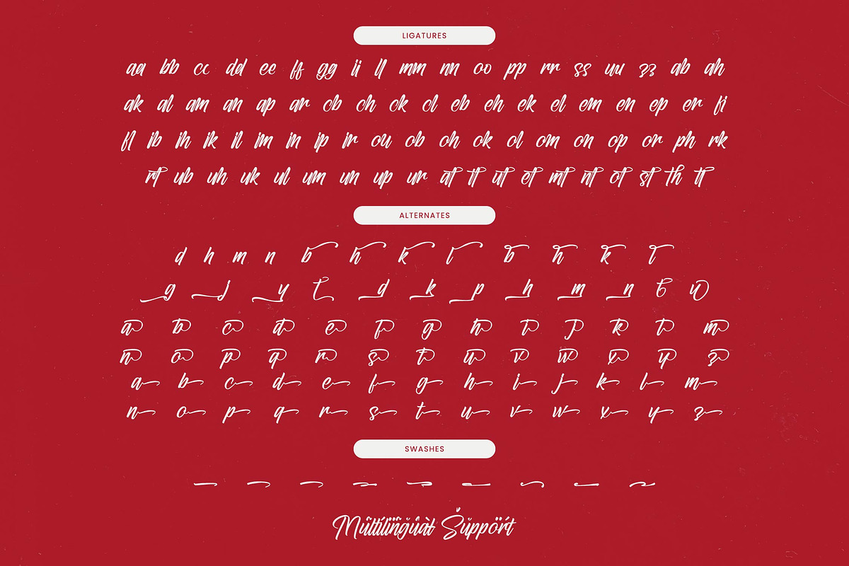 Letterking Quality Bold Handwritten, a Script Font by stylishtype.co (Photo 19 of 20)