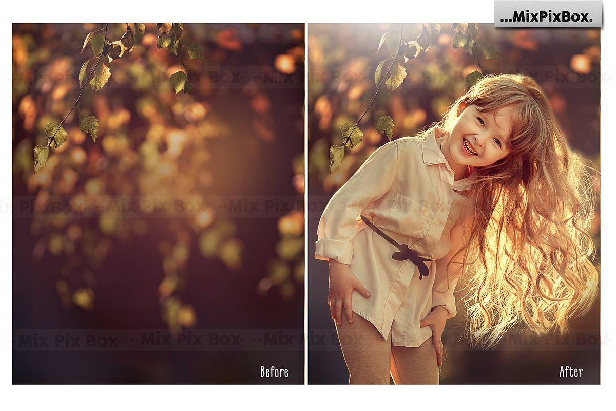 Autumn Portrait Backgrounds, a Background Graphic by MixPixBox (Photo 8 of 8)