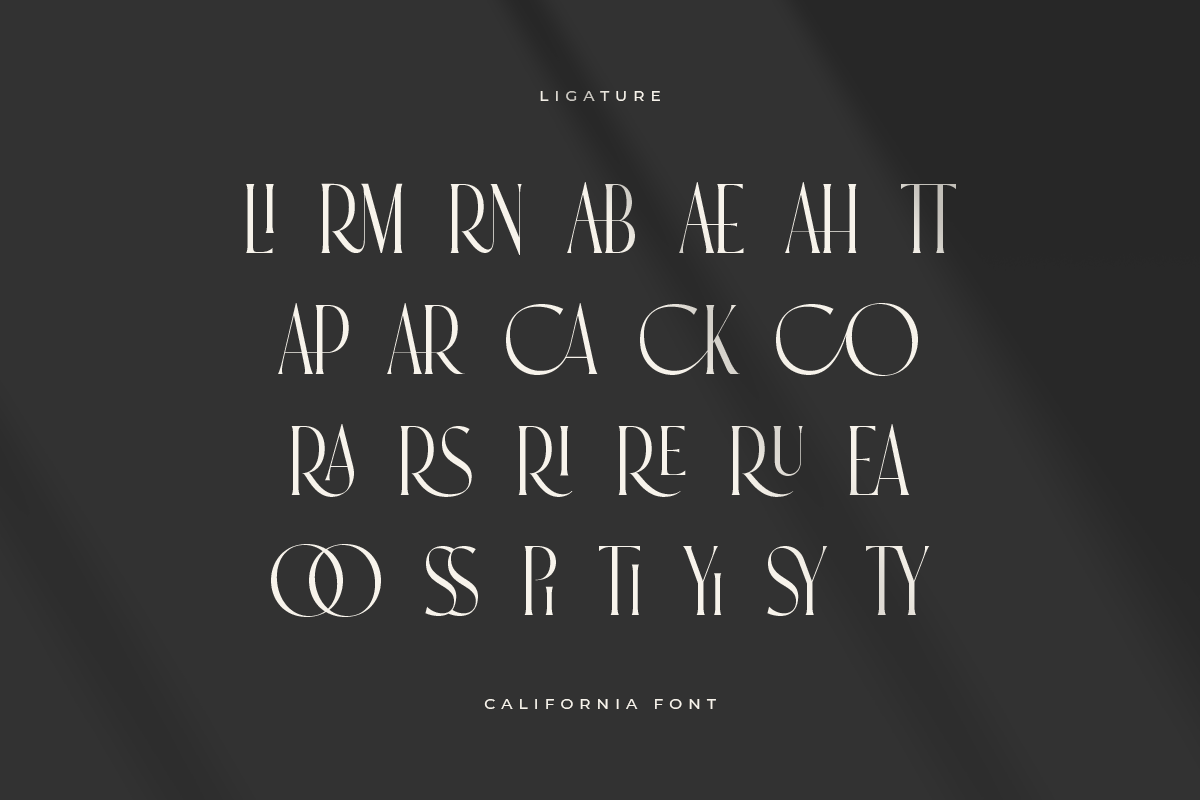 California - Stylish Fashion Font, a Serif Font by Sensatype (Photo 7 of 15)