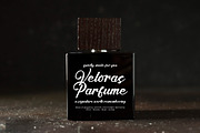 Satin Willots, a Script Font by operatype.co (Thumbnail 6 of 8)