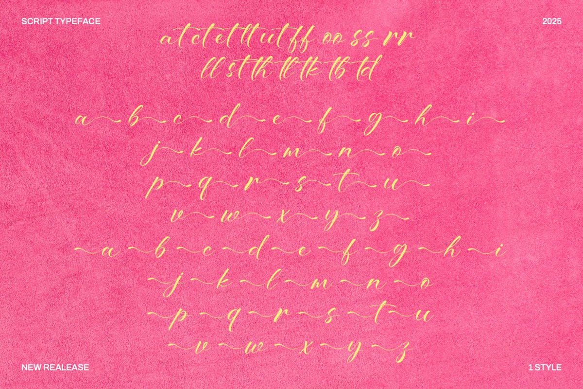 Bitteva Script - Classy Script Font, a Script Font by Dhabee (Photo 7 of 16)