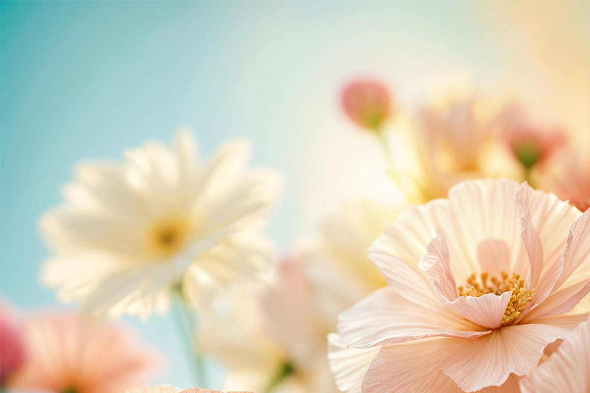Soft Peach Floral Pack, a Decorative Illustration by StockVerse Creative (Photo 3 of 6)