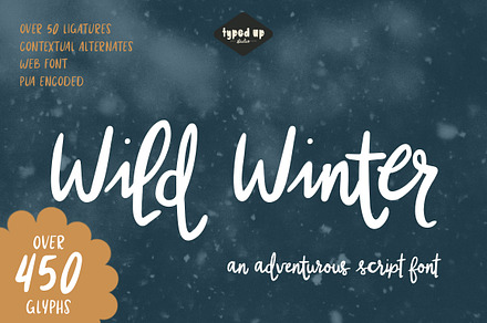 Wild Winter | Extensive Script Font, a Script Font by Typed Up Studio