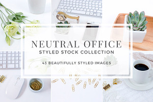Neutral Office Styled Stock Bundle