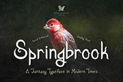 Springbrook - A Fantasy Typeface, a Font by Megan Mahfoud Studio (Thumbnail 1 of 7)
