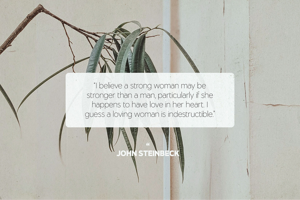 Essential Sans | 16 Font Typeface, a Sans Serif Font by Jen Wagner Co (Photo 13 of 22)