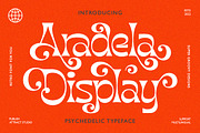 Aradela Display, a Serif Font by Attract Studio (Thumbnail 1 of 13)
