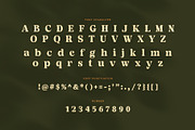 Mikaela Elegant Serif Font, a Serif Font by Perfectype (Thumbnail 7 of 8)