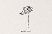 Flowers Vector Bundle, a Decorative Illustration by Little Gremlin (Thumbnail 4 of 9)